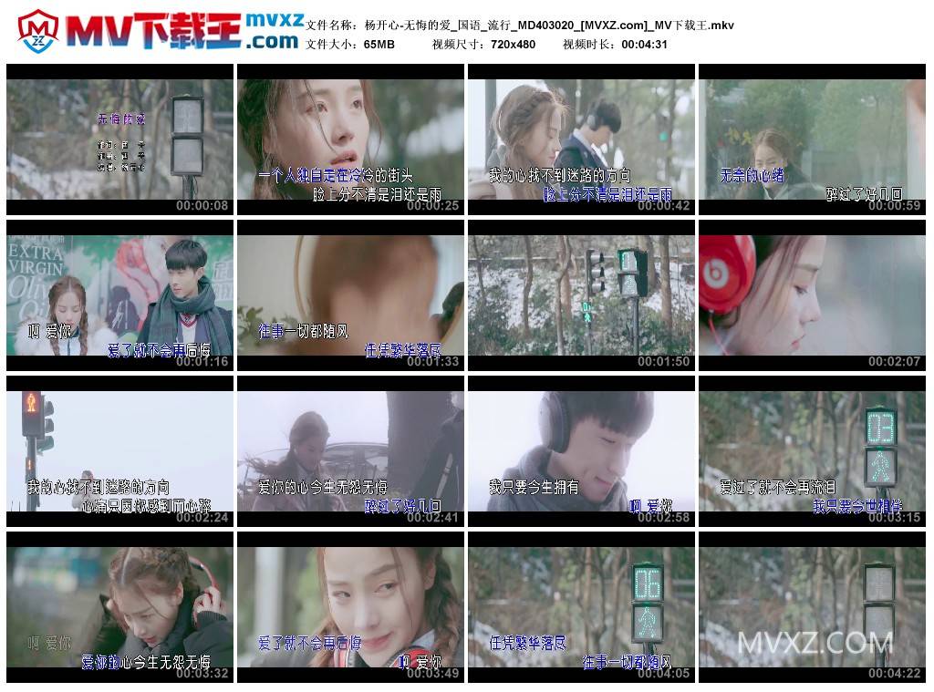 杨开心-无悔的爱_国语_流行_MD403020